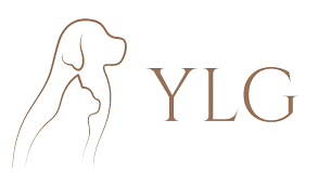 Logo YLG
