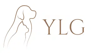 Logo YLG