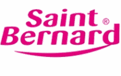 Saint-Bernard-2